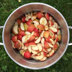 Apfel Mit Dampfentsafter Entsaften