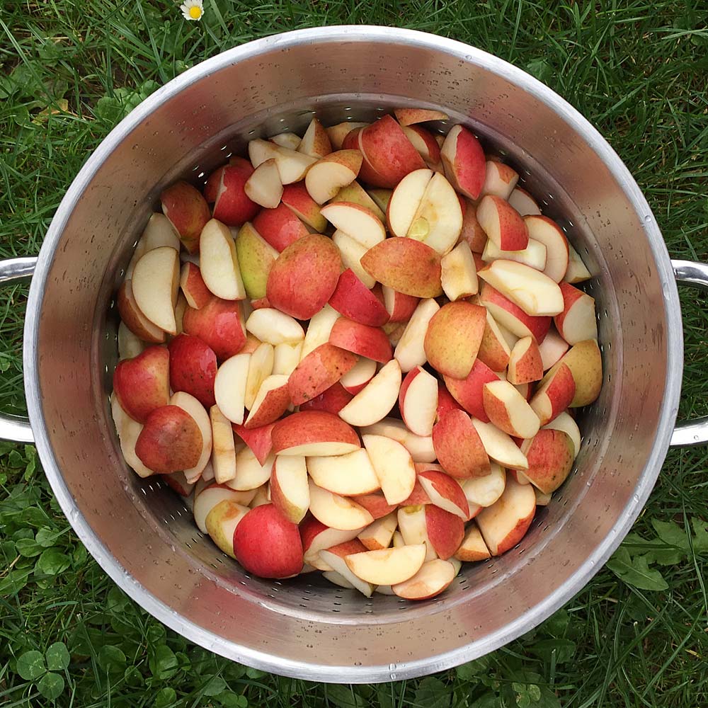 Äpfel im Dampfentsafter