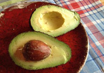 Avocado Avocadokern