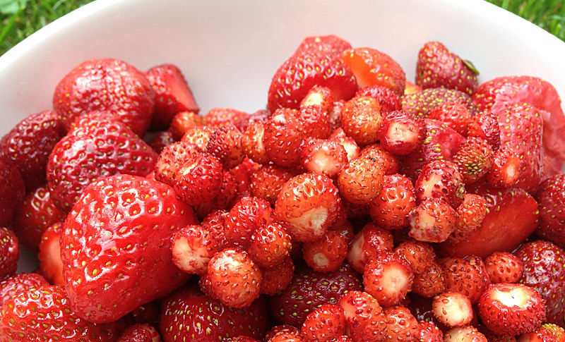 Erdbeeren und Walderdbeeren