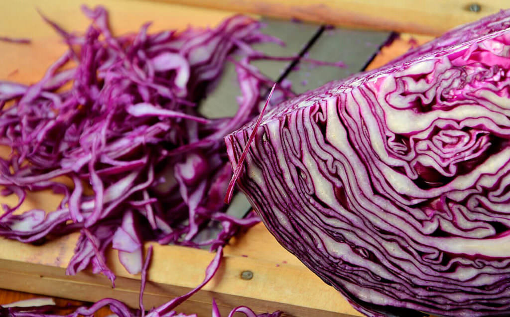 Rotkohl einfrieren