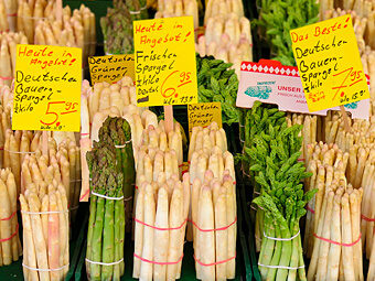 Spargel richtig kochen und zubereiten