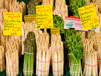 Spargel richtig kochen und zubereiten