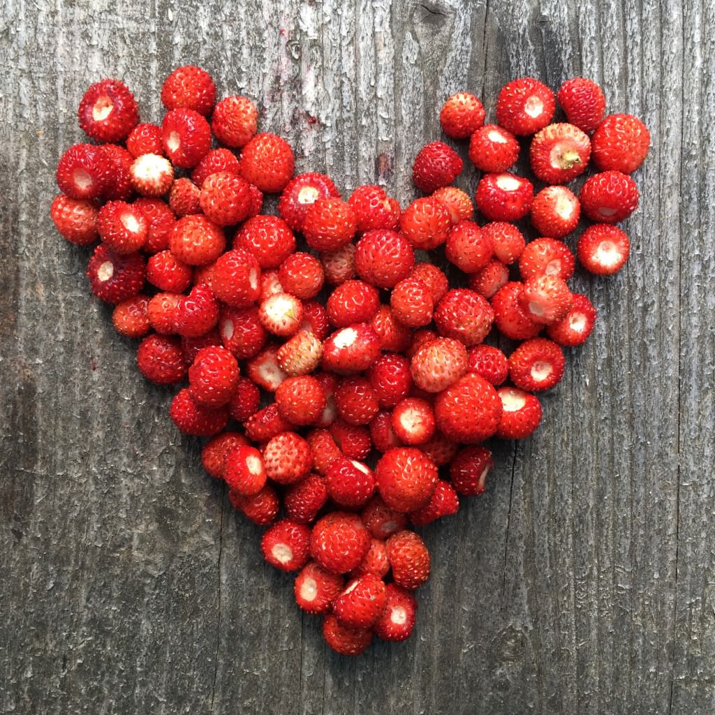 Walderdbeeren